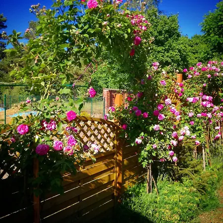 Letniskowe Zbyszko Lodge